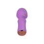 Mini vibro rechargeable SecretFuntasy violet - FairyGasm