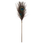 Plumeau à caresses Peacock Tickler - Taboom